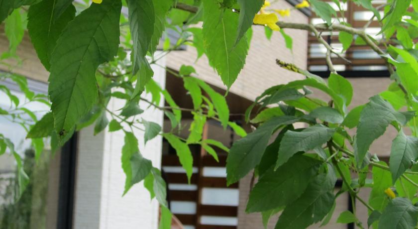 Green Willow House Fengshan  外观 照片